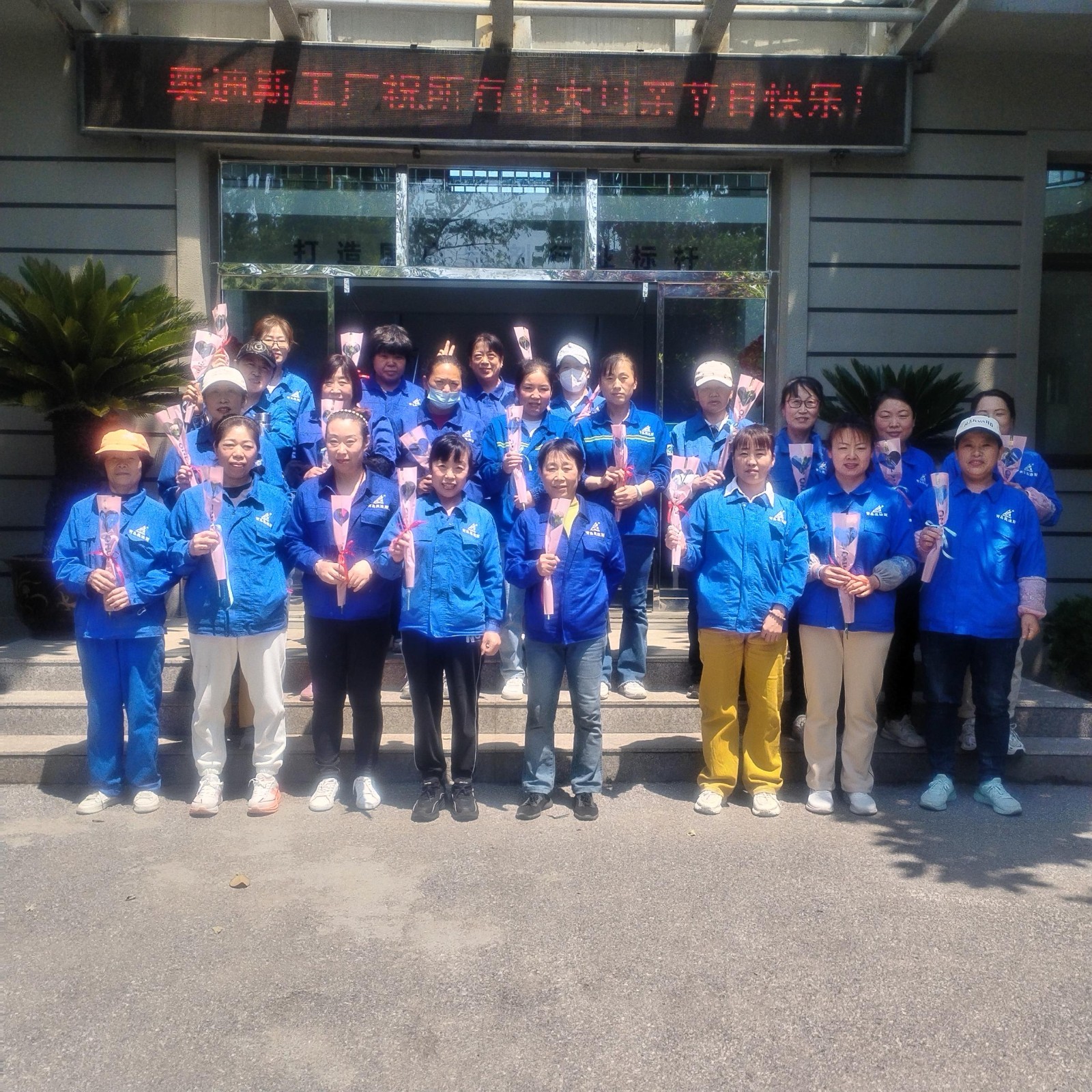 奧迪斯 (2).jpg