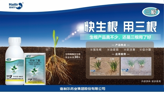 告別粗暴 轉向協(xié)調——海利爾重新定義生根技術