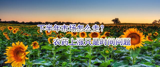 下半年市場怎么走？農(nóng)藥上漲只是時間問題