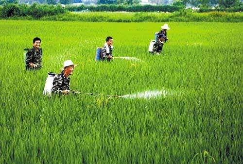 農(nóng)資市場魚龍混雜，抗性真的有宣傳的那么嚴重嗎？