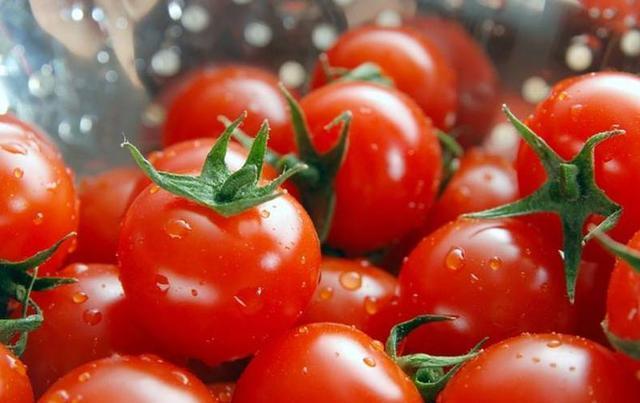 西紅柿、煙草青枯病最新研究發(fā)現(xiàn)“靶向療法”