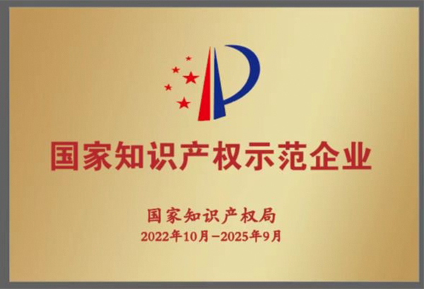 祝賀！集團(tuán)獲評2022年度國家知識產(chǎn)權(quán)示范企業(yè)